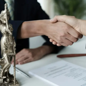 Consultation Initiale