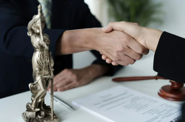 Consultation Initiale